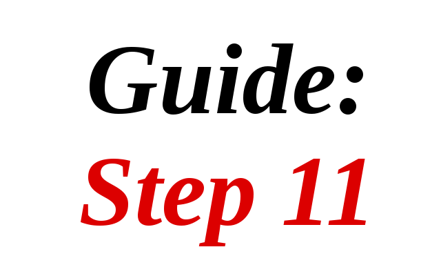 Guide: Step 11