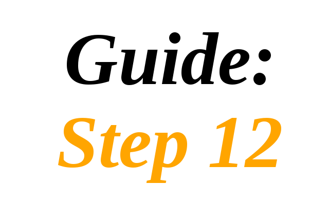Guide: Step 12