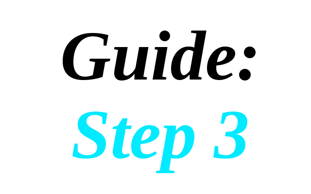 Guide: Step 3