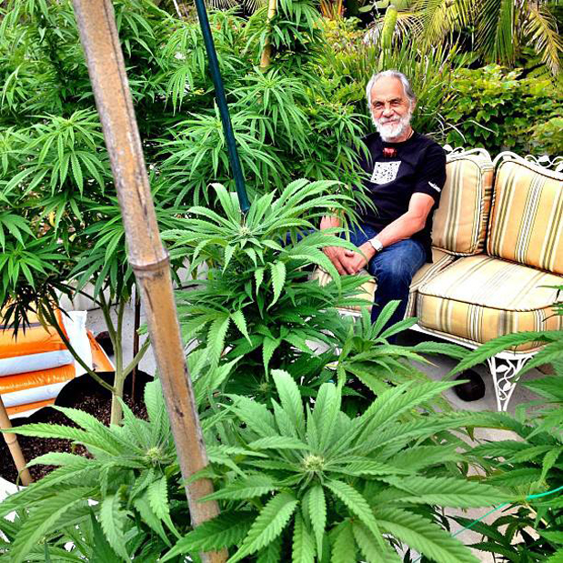 Celebrity Thomas B Kin Tommy Chong Sidereal Astrology Reading Actors