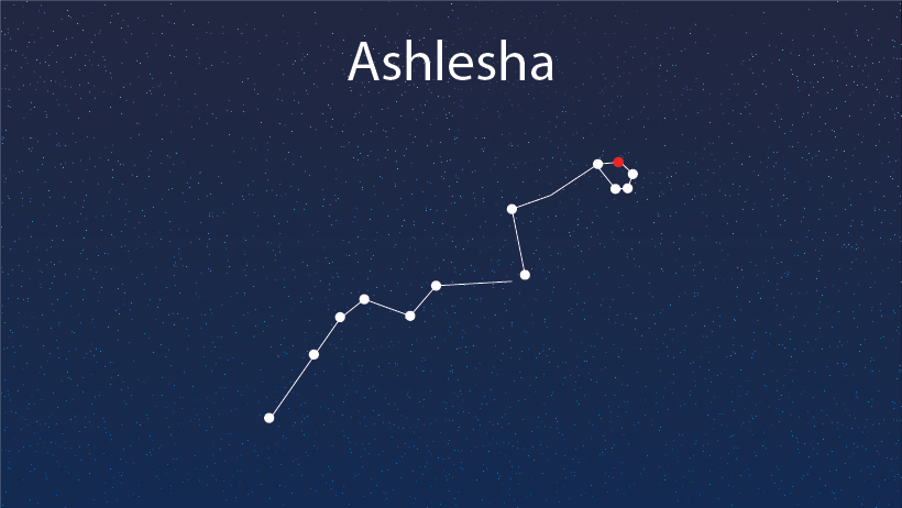 Free Sidereal Astrology - All About Ashlesha Nakshatra