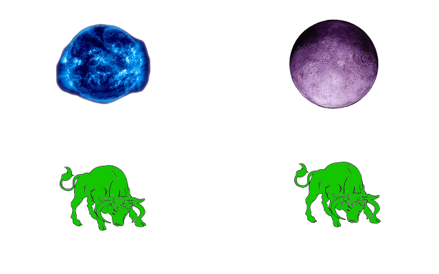 2-2 Taurus/Taurus